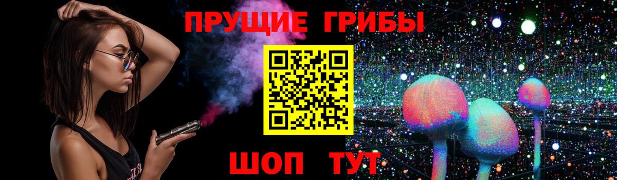 Галлюциногенные грибы Psilocybine cubensis Тында