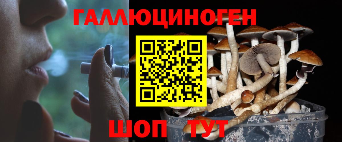 Псилоцибиновые грибы ЛСД  Вход с VPN  Тында 